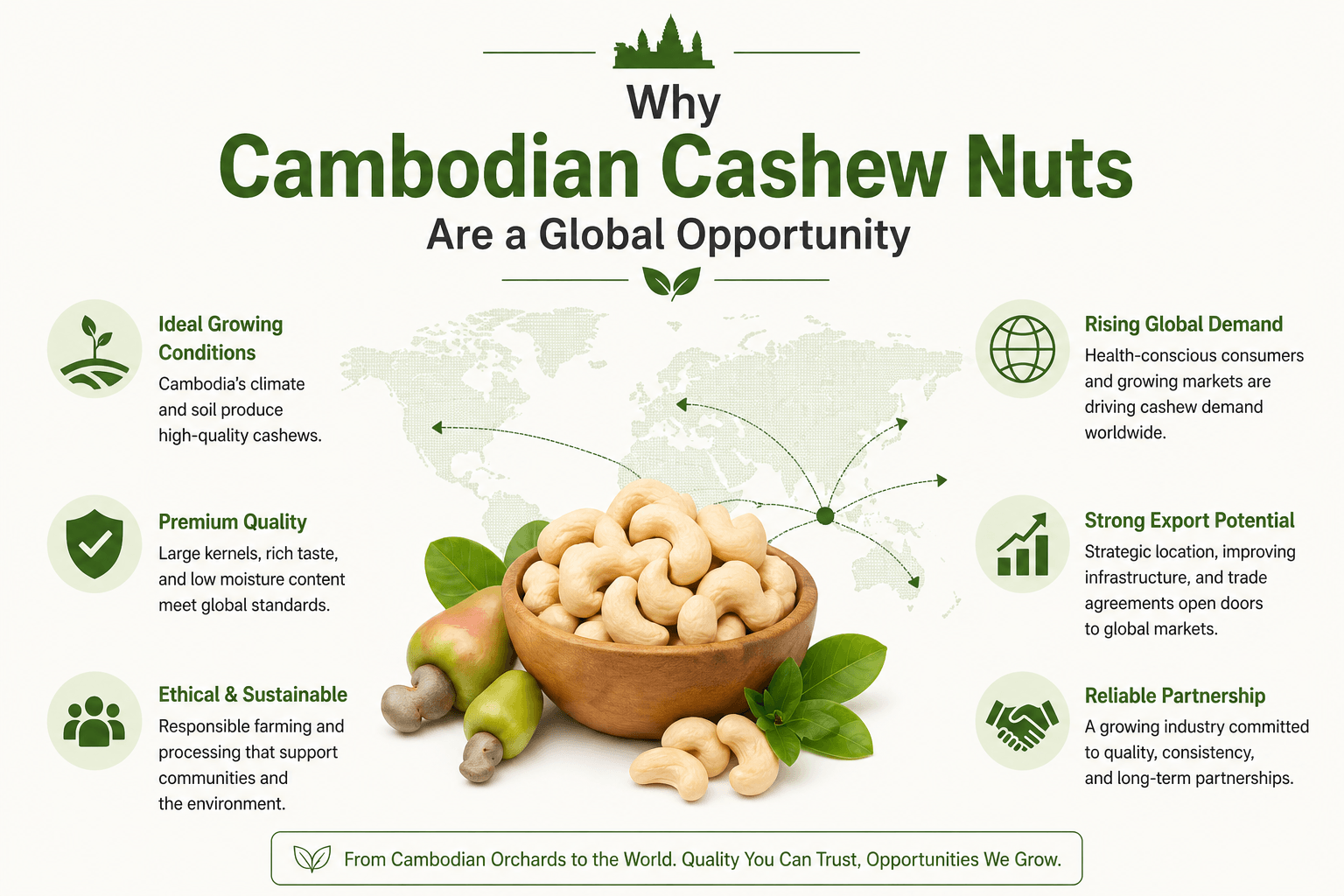 Cambodian Cashew Nuts